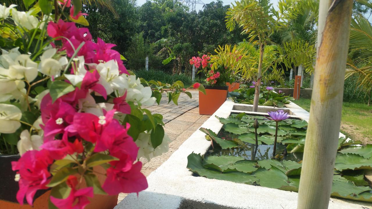 Miheen Hotel & Resort - Anuradhapura Mihintale Exterior photo