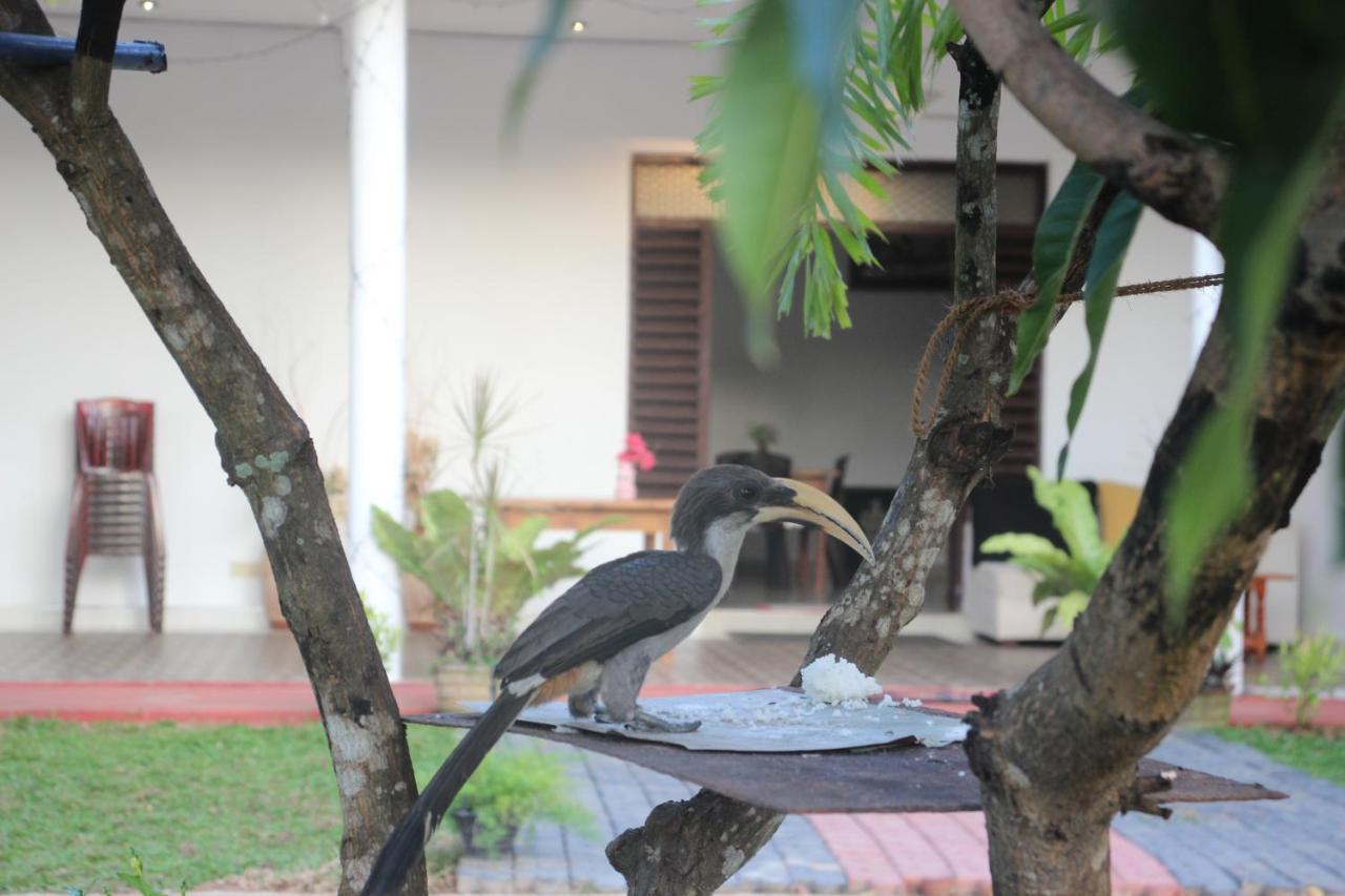 Miheen Hotel & Resort - Anuradhapura Mihintale Exterior photo